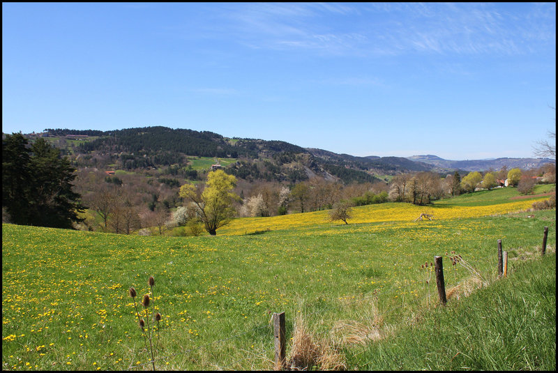 Paysage printanier