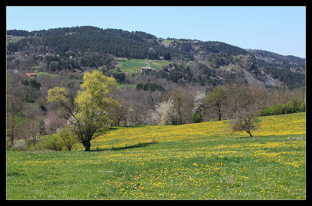 Paysage printanier