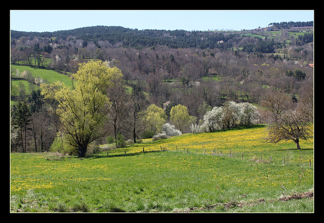 Paysage printanier