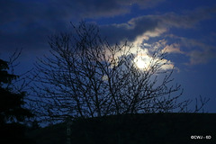 Bright moon this evening