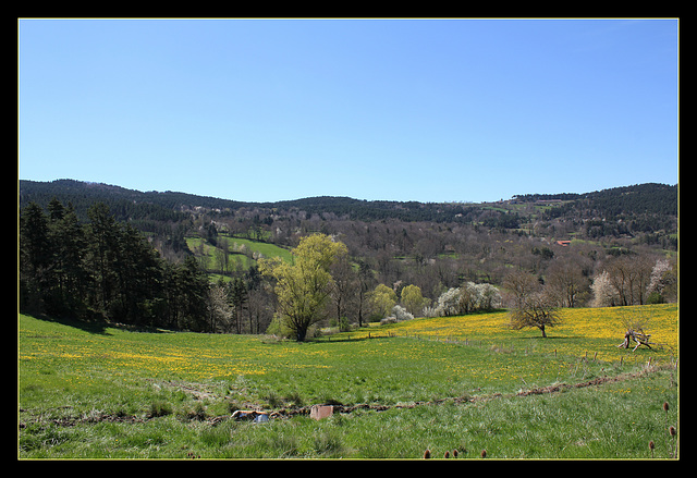 Paysage printanier