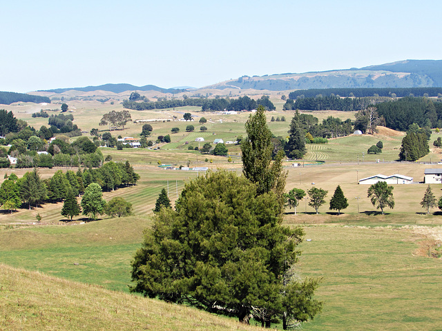 Farmland east of Tokoroa