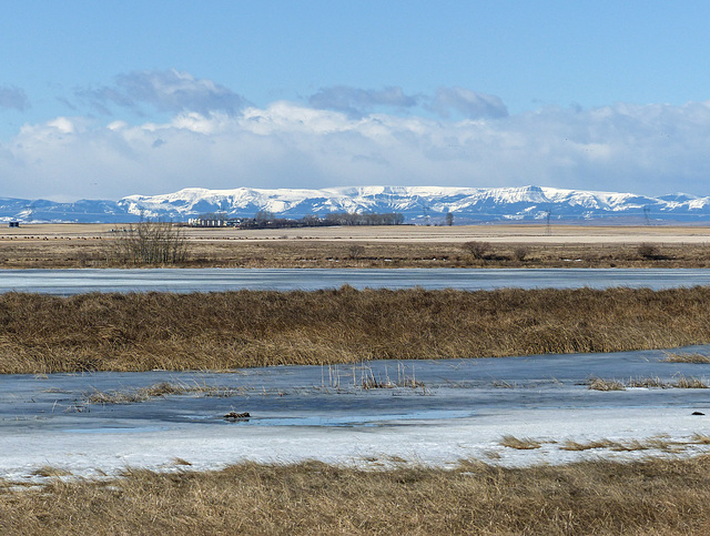 Prairie blues and golds