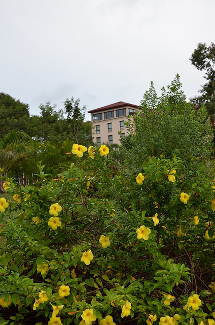 our hotel in Puerto Iguazu