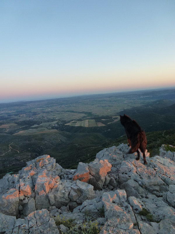 20140415 Fee Mt Baudille (67) al