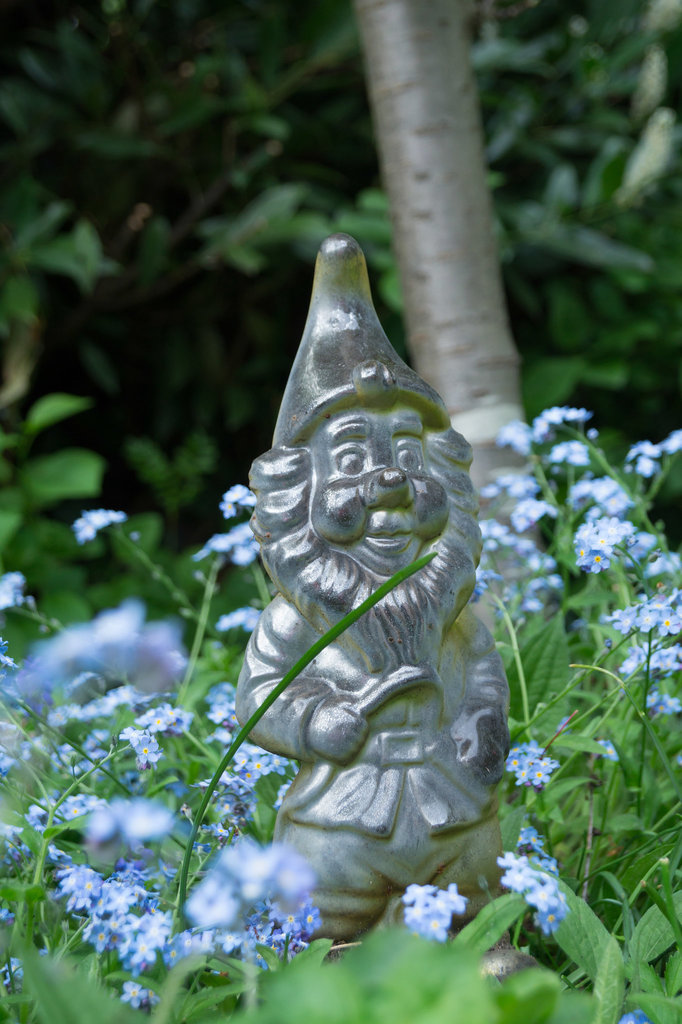 Gartenzwerg DSC05098