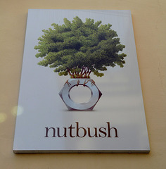 'nutbush'