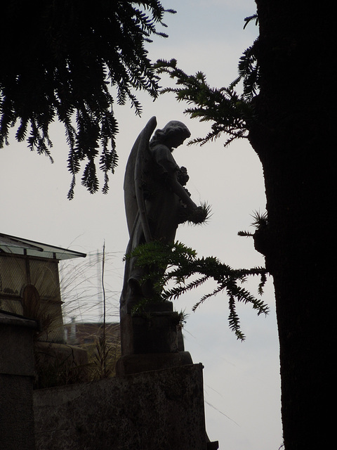 Recoleta Cemetery