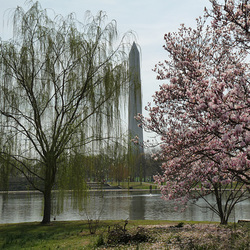 Constitution Gardens