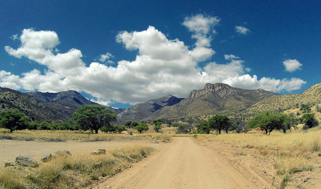 Miller Canyon