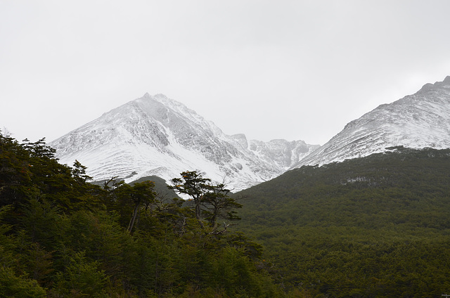 the southern Andes