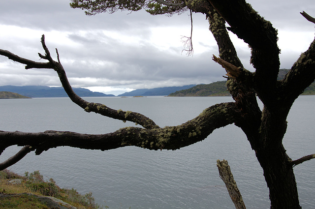 the Beagle Channel