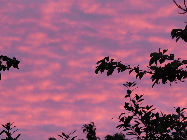 morning light, london