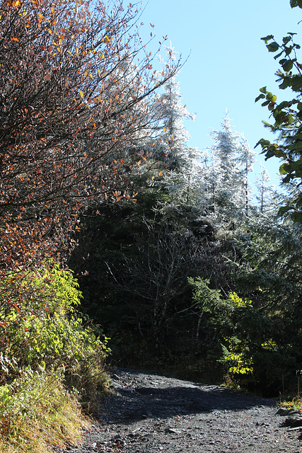 puy de dôme