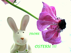 Happy Easter! :)