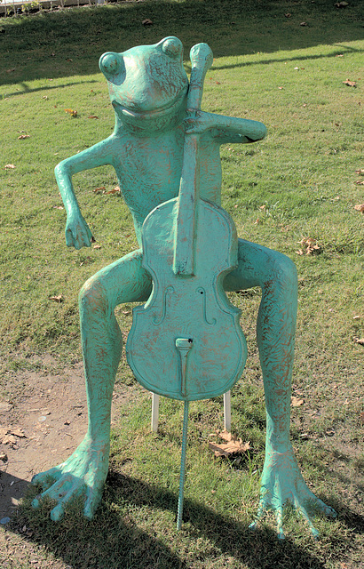 frog virtuoso