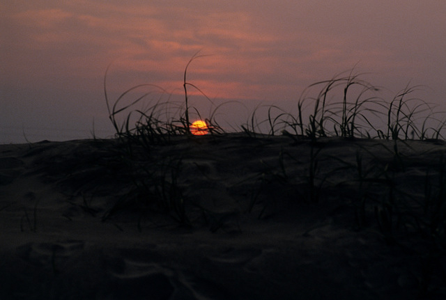 dune sunset