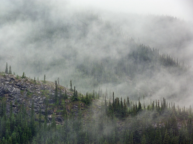 Disappearing peaks