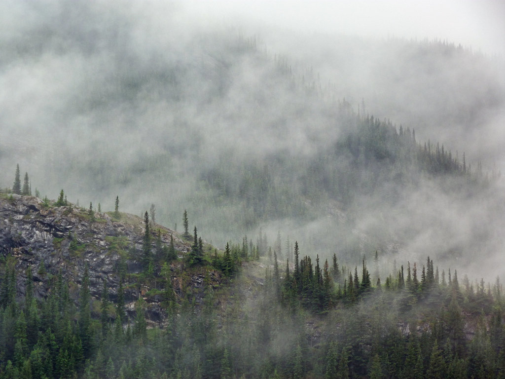 Disappearing peaks