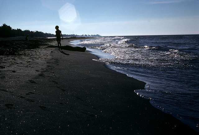 beachcomber