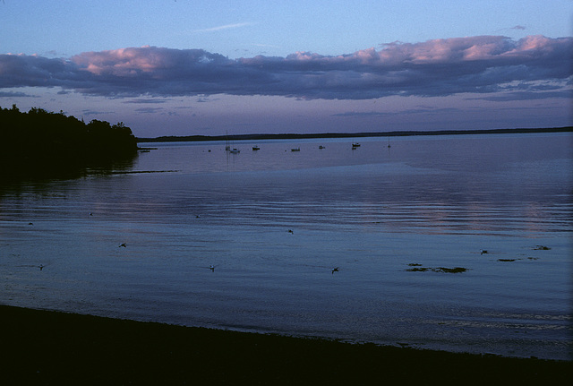 Maine shore