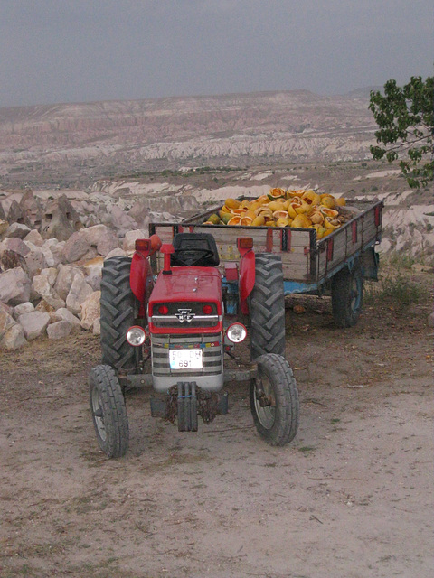 the pumpkin wagon