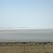 cattle at Lake Tuz