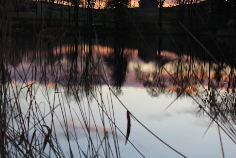 reflets d'hiver