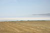 Lake Tuz