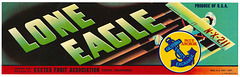 Lone Eagle Lone Eagle