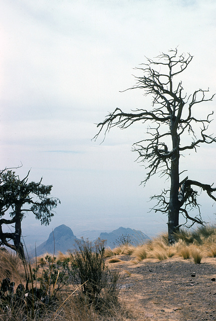 Big Bend National Park - hiking trail