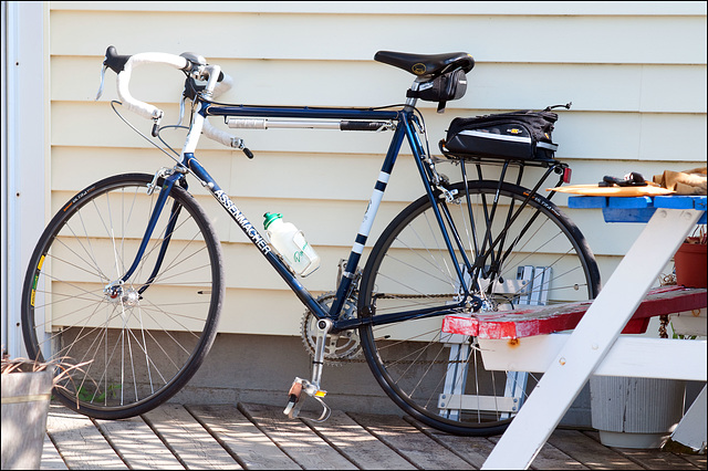 Bicycle at Rest