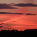 Coucher de soleil - Montoison - Drôme