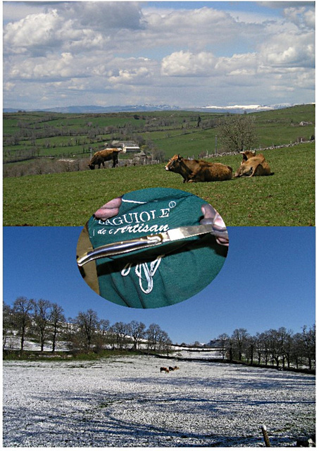 Proche de Laguiole - Aubrac