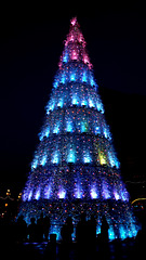 Vegas Christmas Tree
