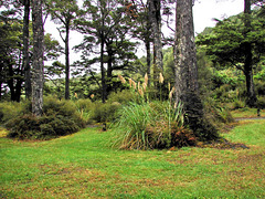 In Kaitoki Waterworks Park