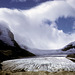 Columbia Ice Field