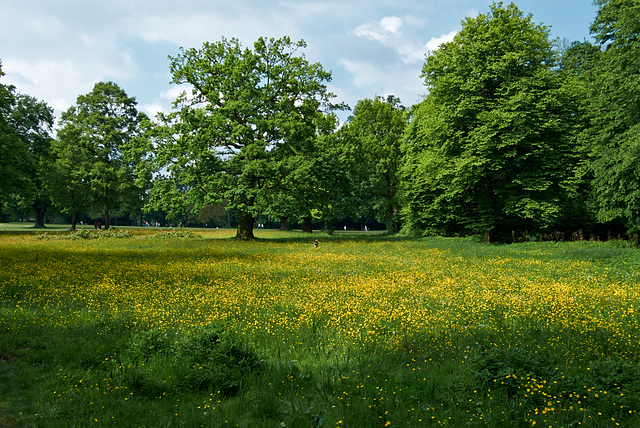 jenischpark-1180785-co-16-05-14