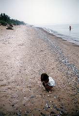 beachcomber