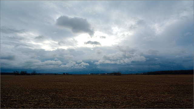 Grey, turning Greyer