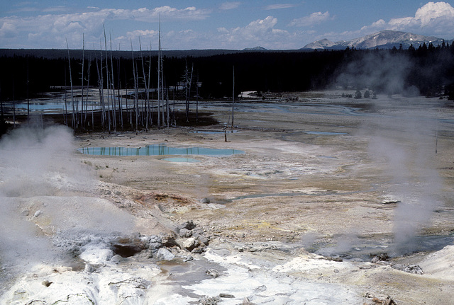 Yellowstone