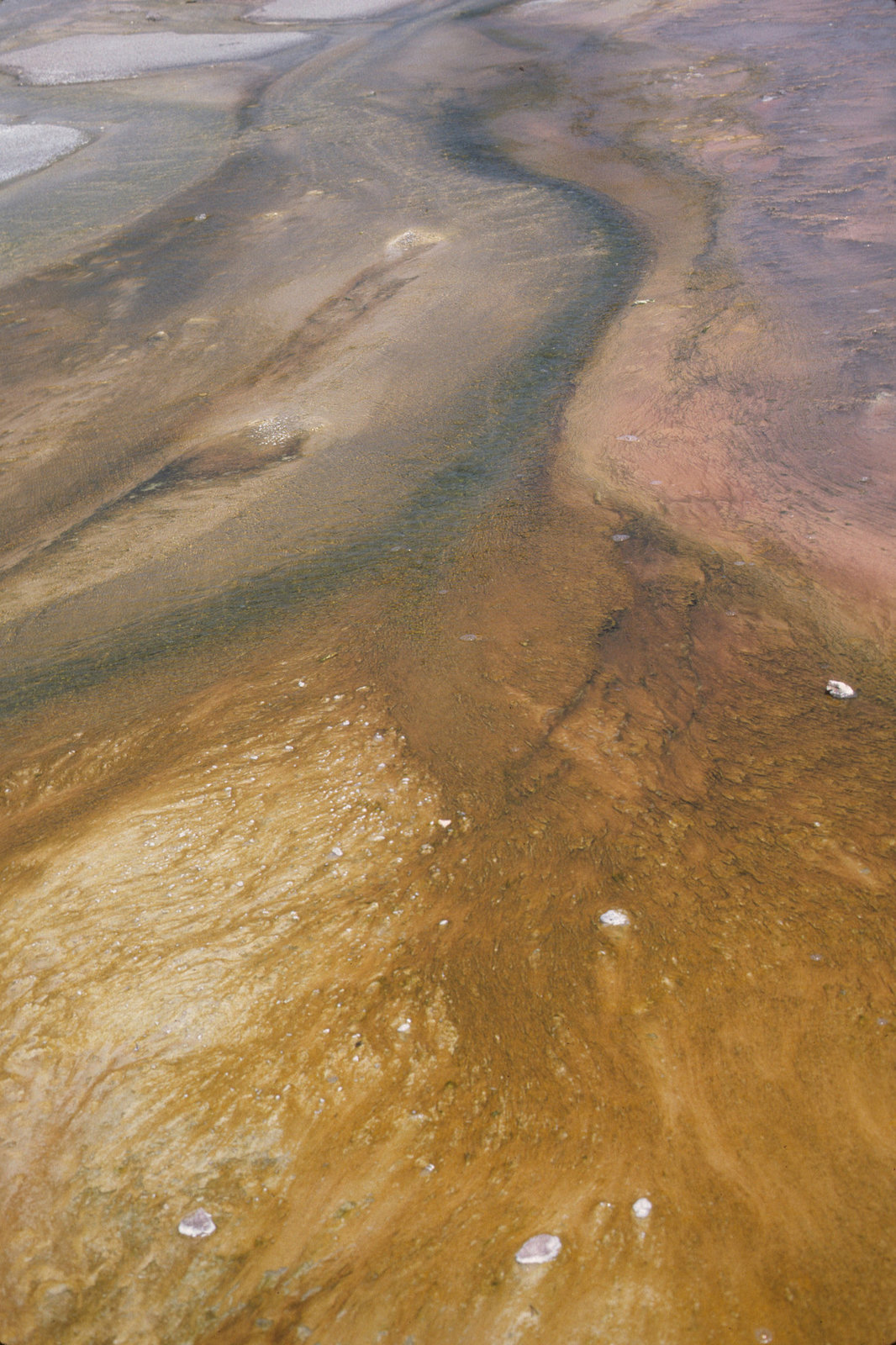 Yellowstone Yellowstone