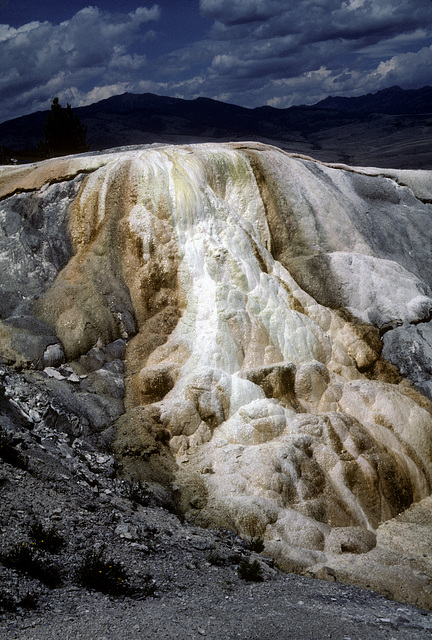 Yellowstone