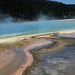 Yellowstone