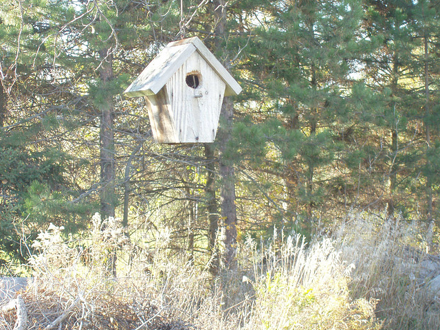 Birdhouse