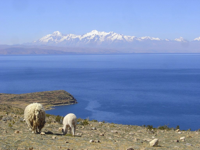 Au loin, la cordillière Réal (Bolivie).