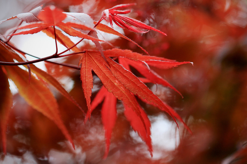 ~ Hot Spring Colour ~