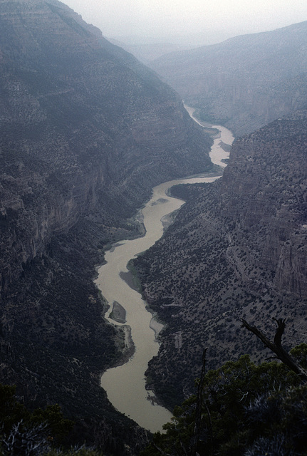 from the confluence of the Yampa and Green Rivers