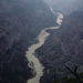 from the confluence of the Yampa and Green Rivers