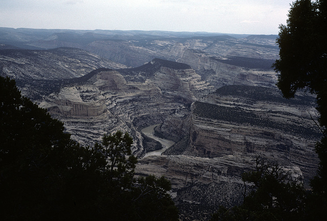 from the confluence of the Yampa and Green Rivers